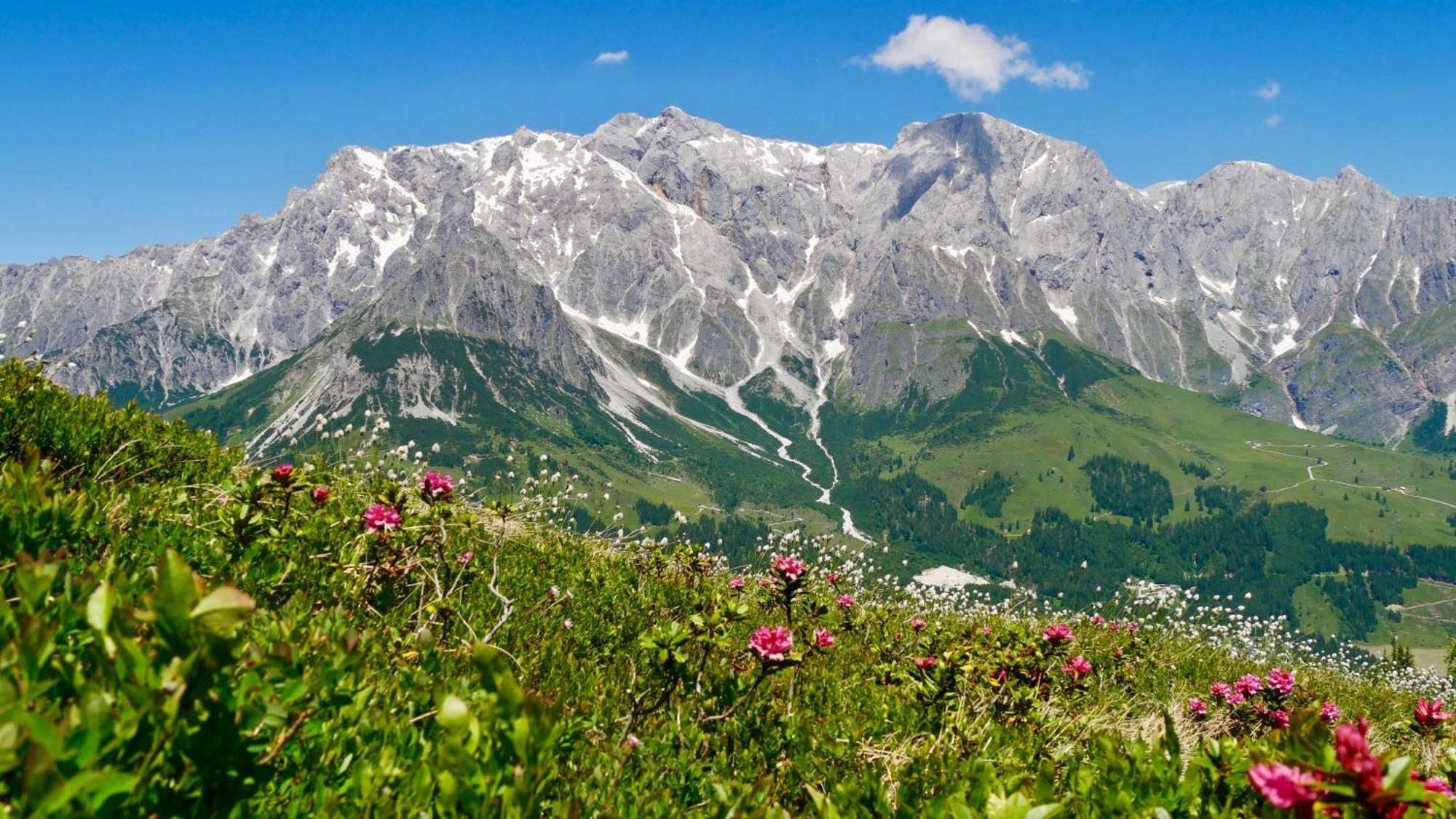 Landhaus Rieding Leilighet Mühlbach am Hochkönig Eksteriør bilde