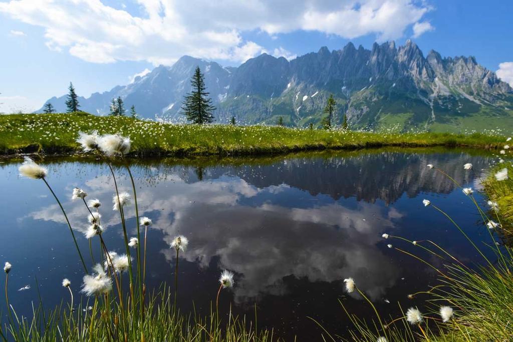 Landhaus Rieding Leilighet Mühlbach am Hochkönig Eksteriør bilde